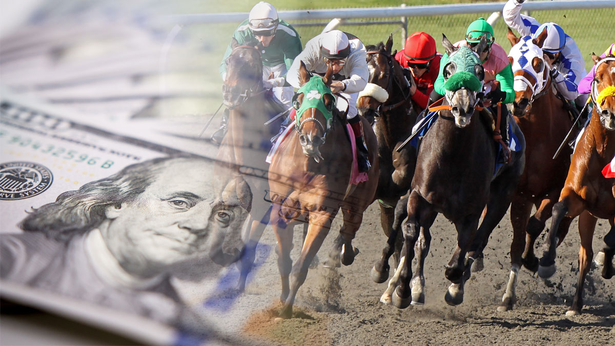 Who is the best horserace tipster? Where to find free horse betting tips?