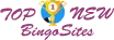new uk bingo sites